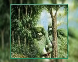 ‘রহস্যময়’ ভাইরাল ছবিটিতে আপনি কী দেখছেন?